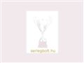 http://www.serlegbolt.hu