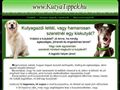 http://kutyatippek.hu