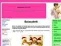 http://babaneveles.hupont.hu