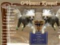 http://chinese-crested-dog.hu