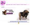 http://jj-pets.hu