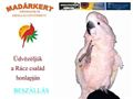 http://www.madarkert.hu