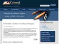 http://colonelconsulting.hu