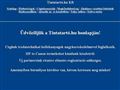 http://tintatarto.hu