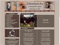 http://literatura.hu