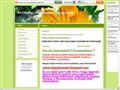 http://netbeteg.eoldal.hu