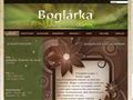 http://boglarkaszalon.hu